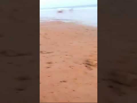 Sandspit | Hawksbay Beach Karachi 💛 Stylish Boy's friend | 👀 #sandspitbeach #howksbay #viralvideo